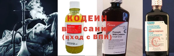 ПСИЛОЦИБИНОВЫЕ ГРИБЫ Гусев