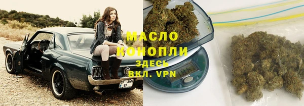 ПСИЛОЦИБИНОВЫЕ ГРИБЫ Гусев
