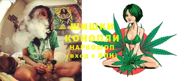 круглые Новозыбков